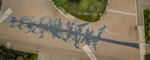 Shadow Tree Wonderings