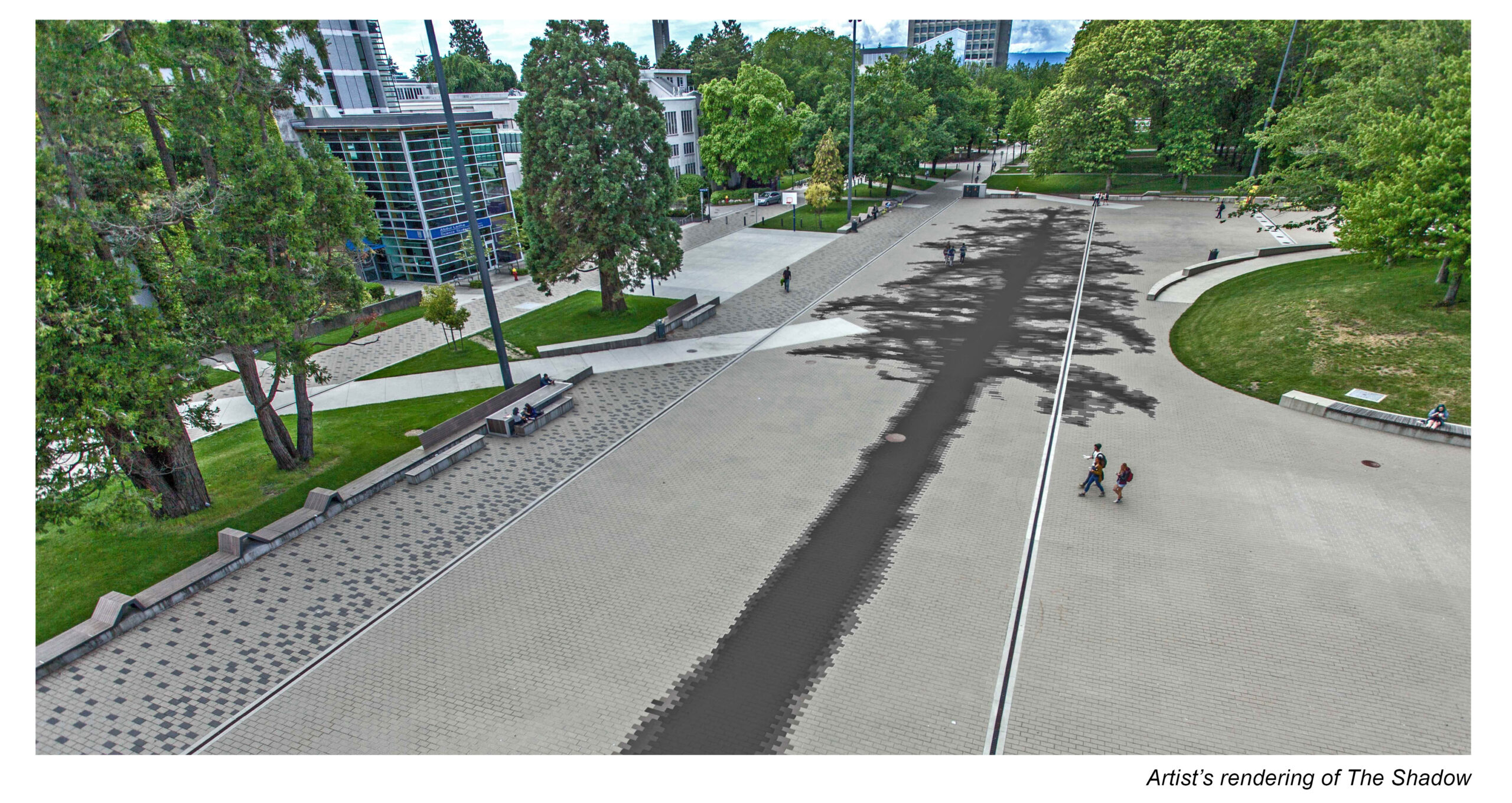 The Shadow Tree as Public Art
